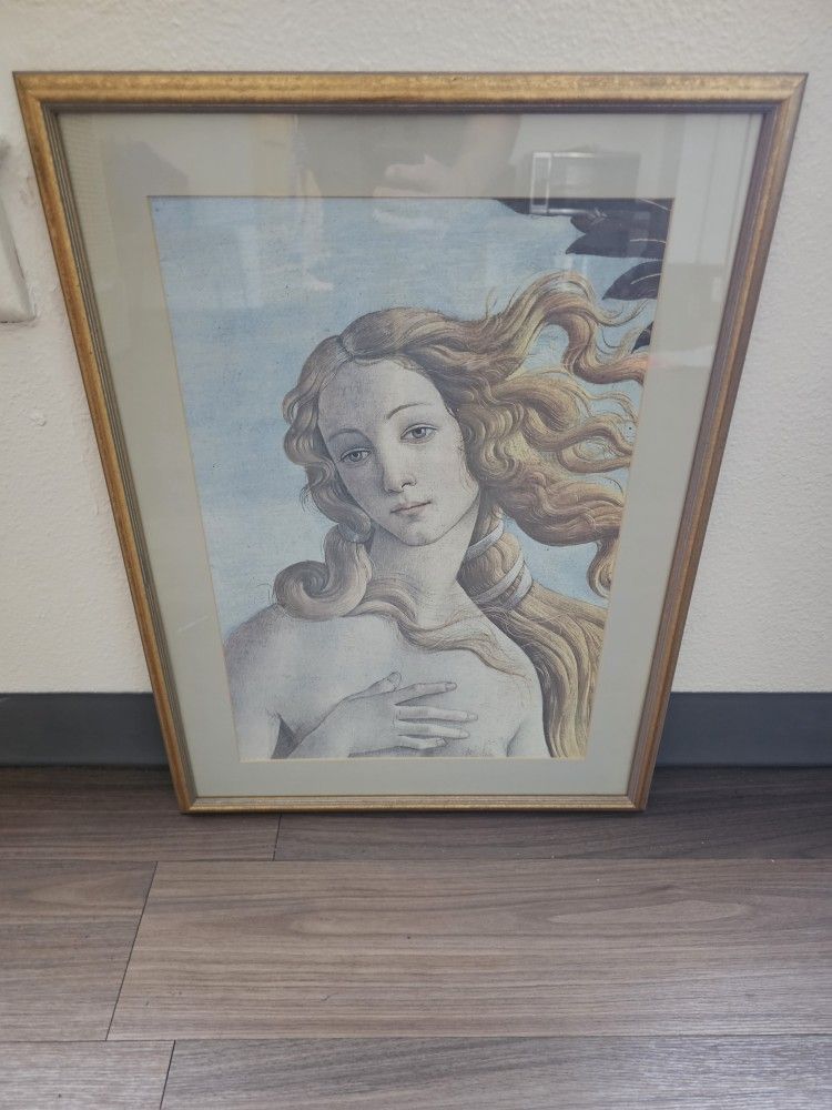Framed Picture