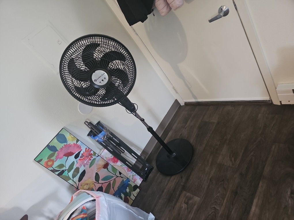 Fan Comfort Zone