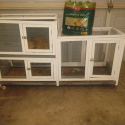 Chicken,Bunny,Rabbits,Cage
