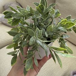 Decorative fake plant