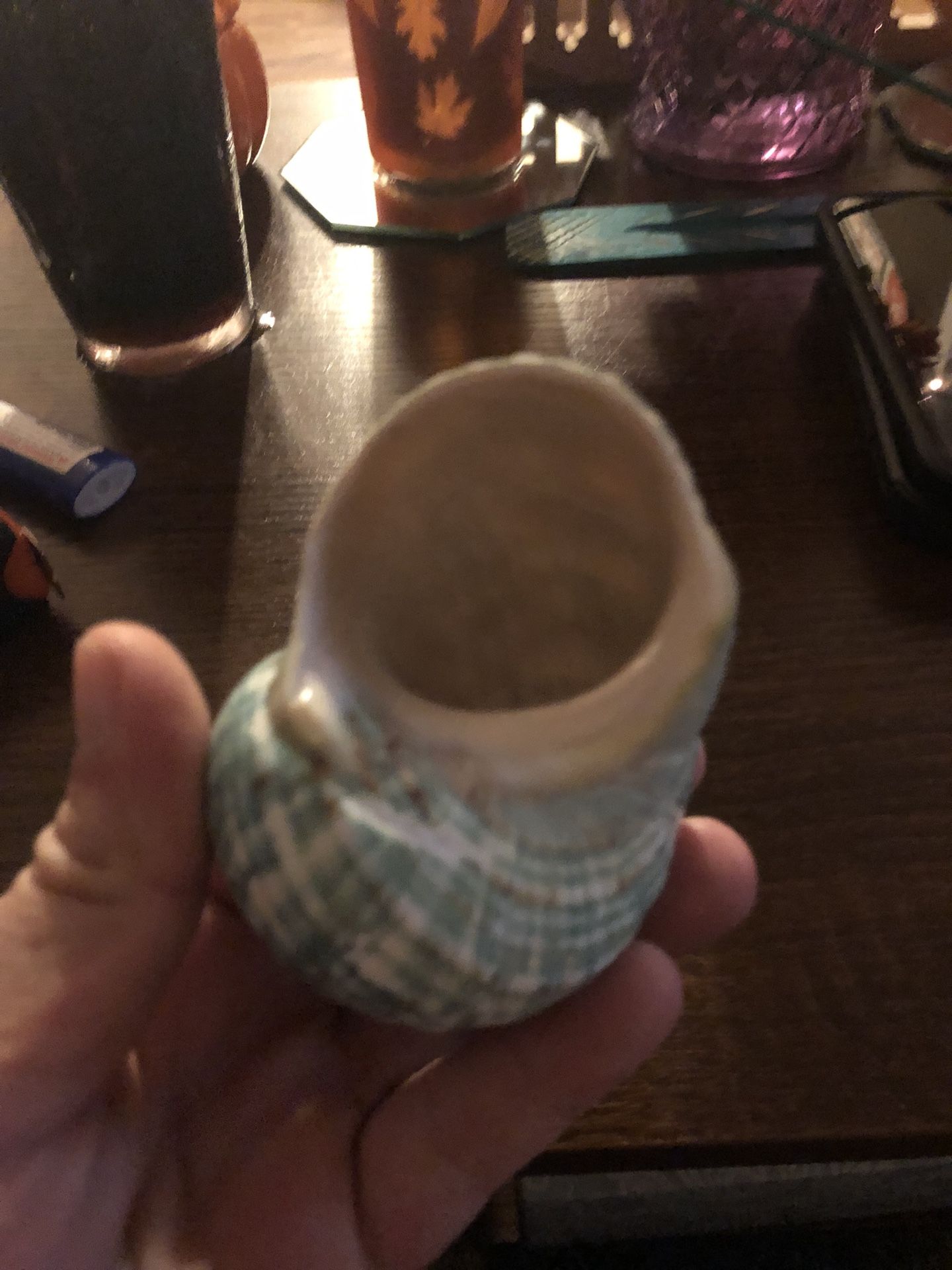 Two Big Size Hermit Crab Shells