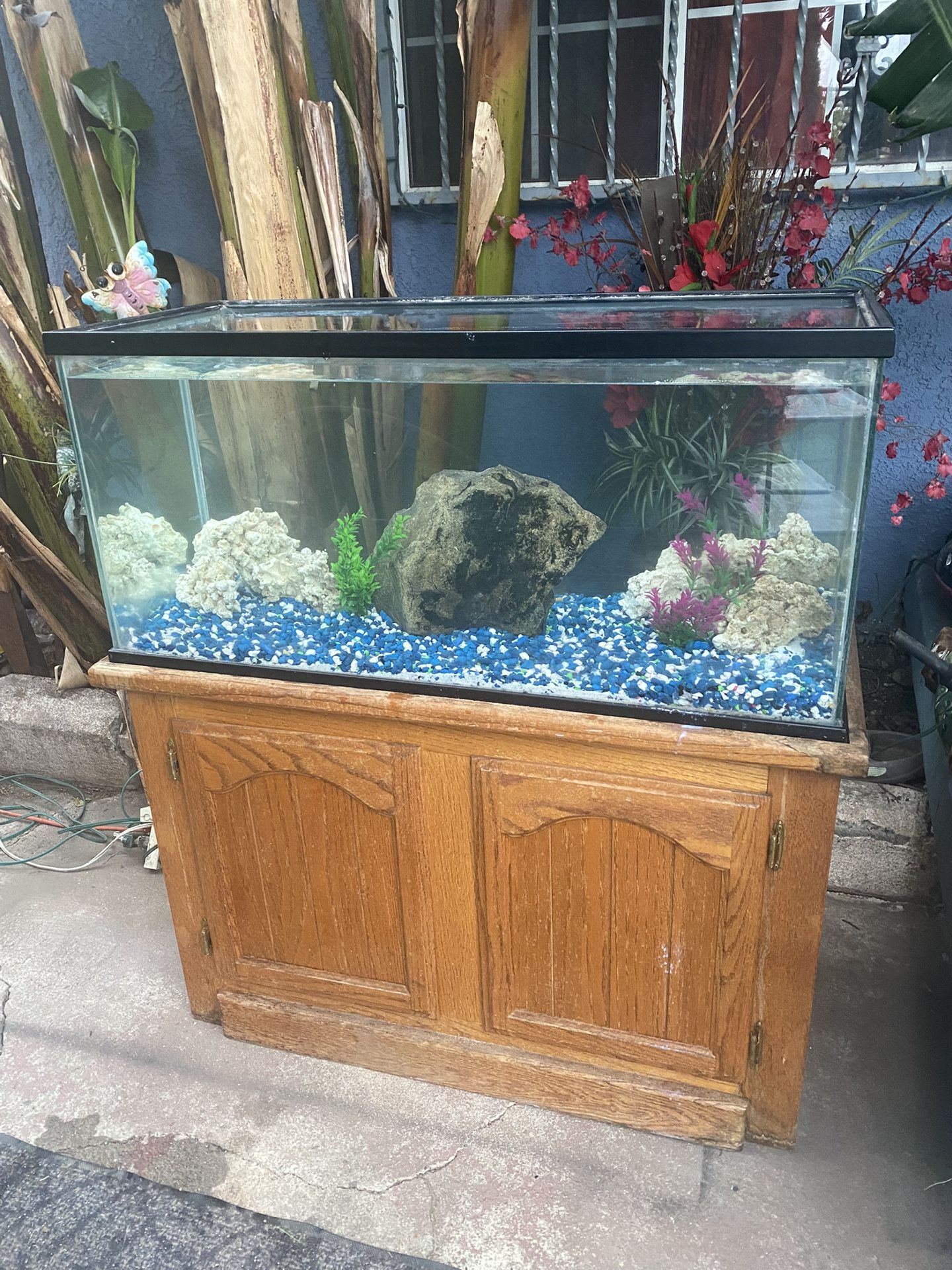 40 Gallon Fish Tank Aquarium