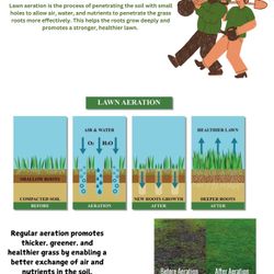  LAWN AERATION
