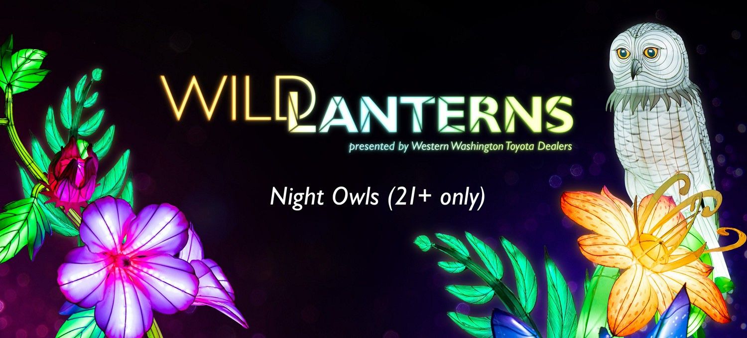 Wild Lanterns 21+ Night THIS FRIDAY 12/12
