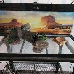20 Gallon Tank With Stand 