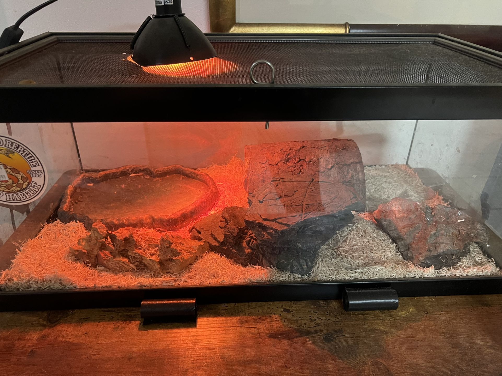 Snake Tank, All Included