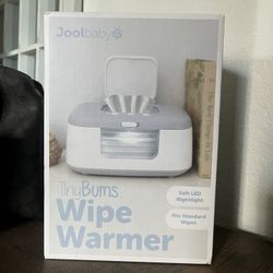 Wipe Warmer 
