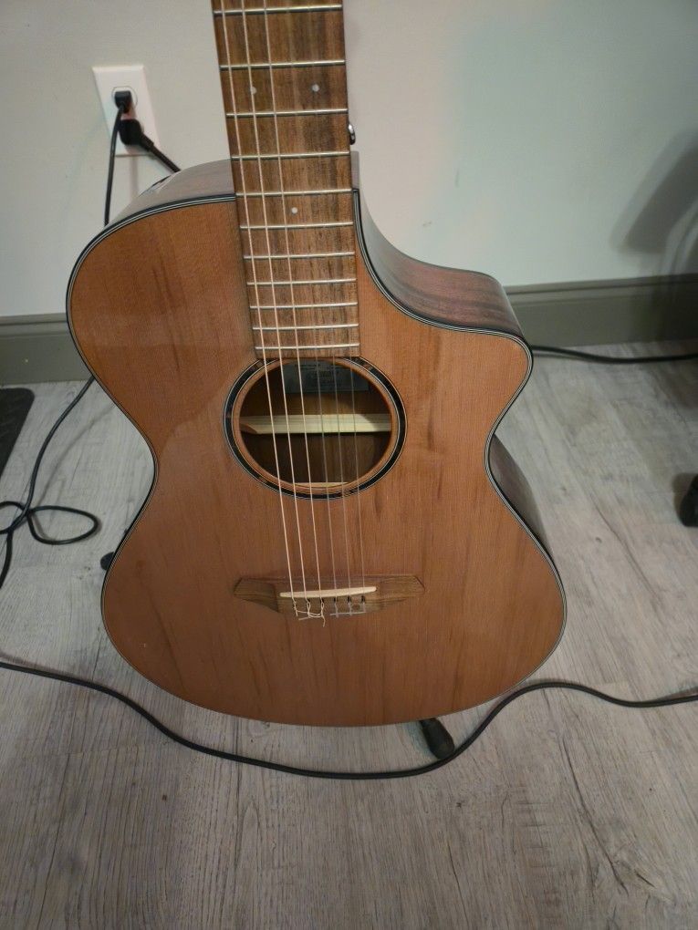 Breedlove Classical Acoustic Electric Guitar 