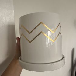 Plant pot planter-Maceta para plantas