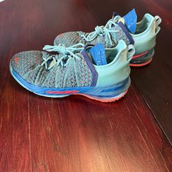 Nike LeBron 18 GS “We Are Family” – Youth Size 6Y – Very Good Condition