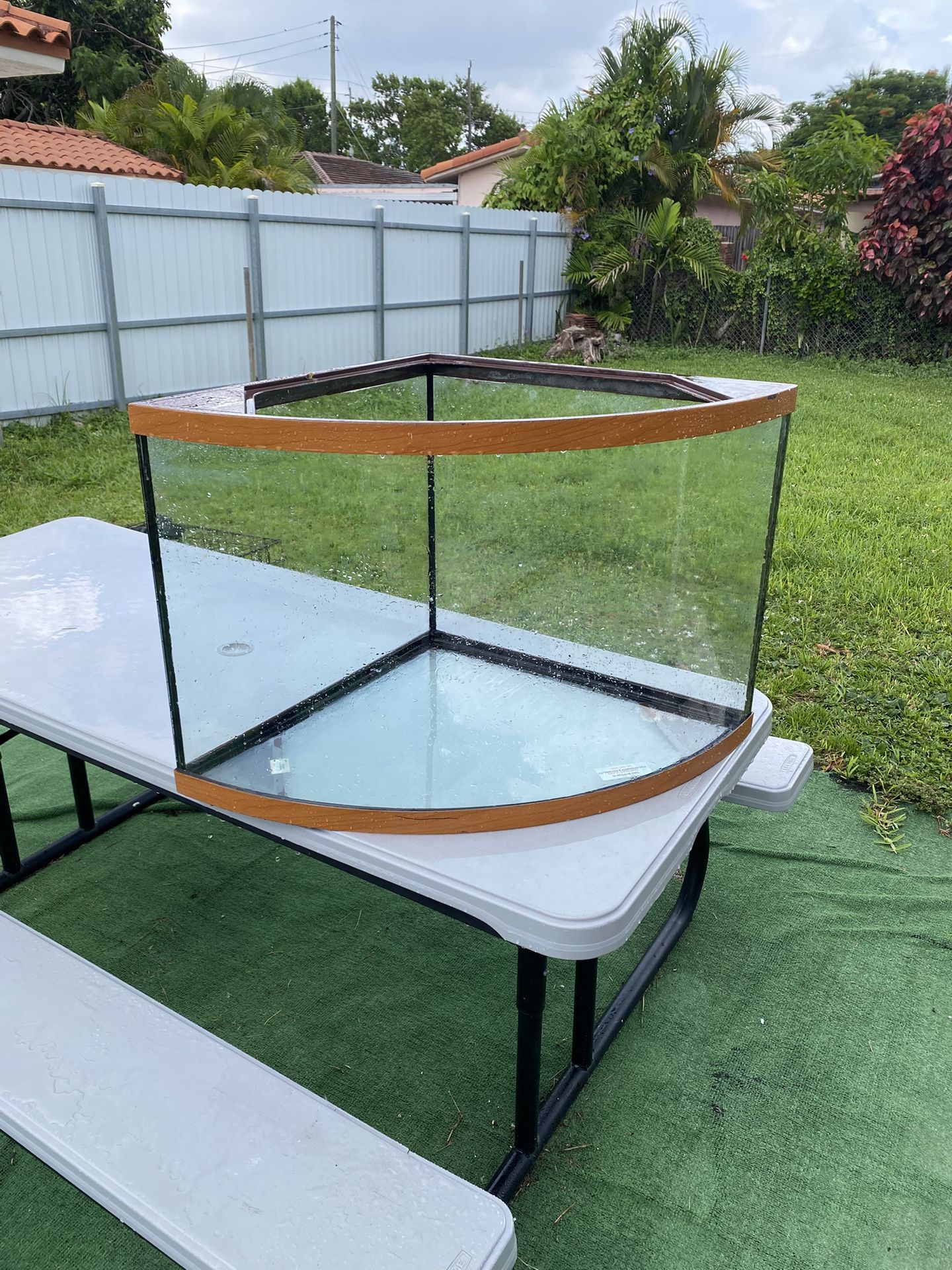 40 Gallon Corner Fish Tank