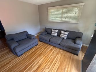 Living Spaces Sofa + Oversized Chair – $100 OBO
