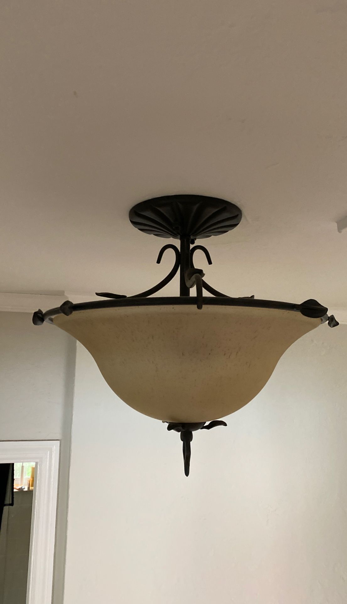 Ceiling Light