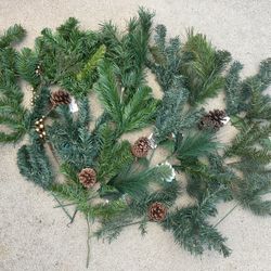Group of Christmas Greenery