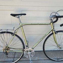 Bicycle Motorbecane
