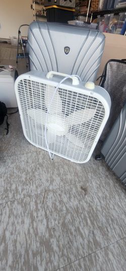 Fan