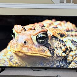4K Smart TV - 55 inches