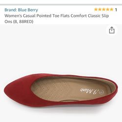Never Worn. Brand New Stilleto Point But Comfortable Flats.
