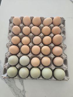 Fresh Eggs $10 per dozen=12 eggs for $9.99