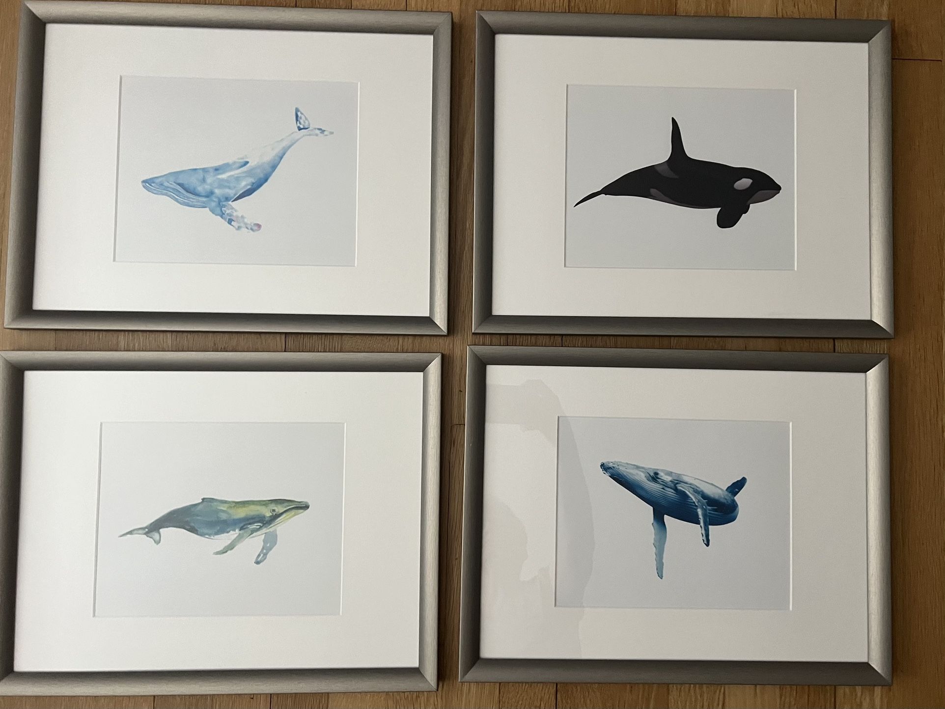 Whale Framed Artwork