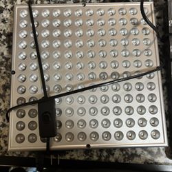 Tanning Therapy Lights