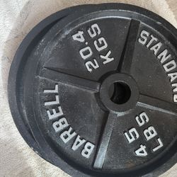 45lb Plates X 2