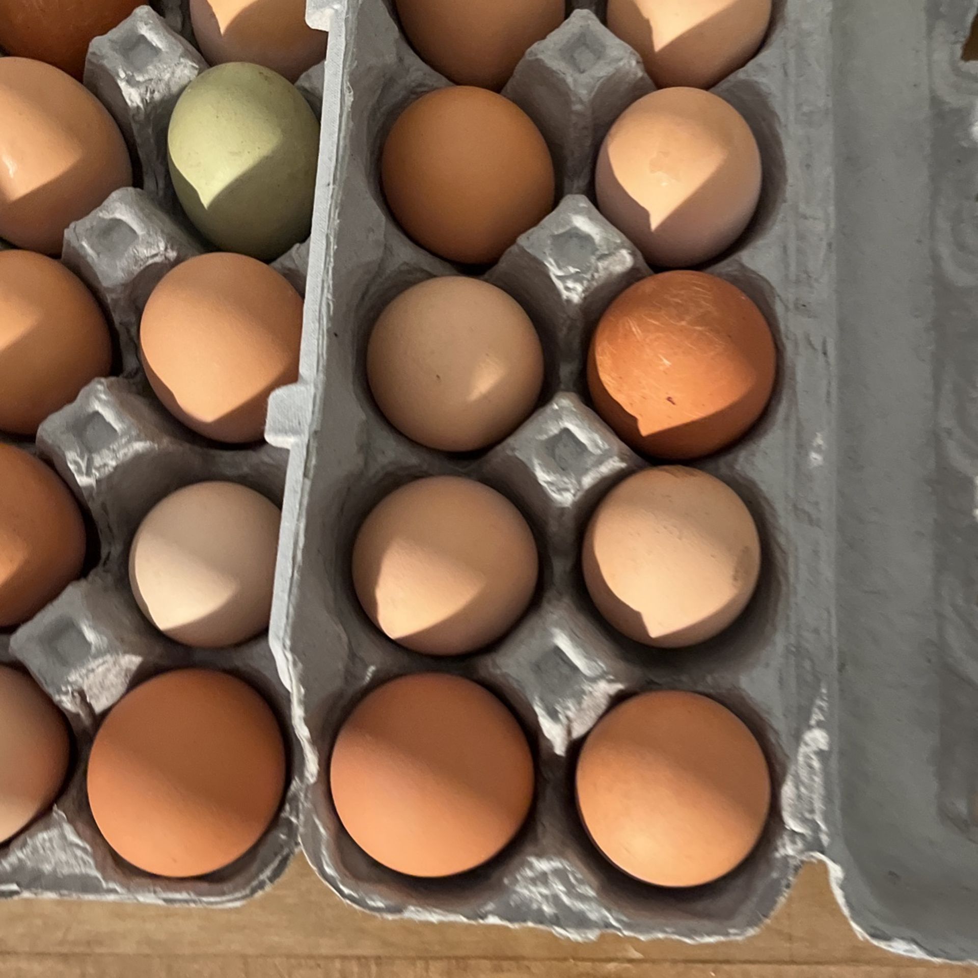 Chicken Eggs For Sale for Sale in Canyon Country, CA OfferUp