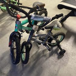 2 Kid Bikes