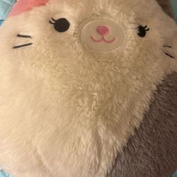 Cat Squishmallow