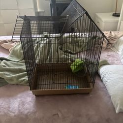 Bird Cage