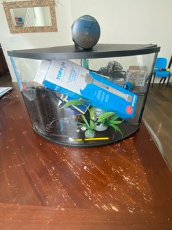 Curved Corner Glass Aquarium Tank with Accessories
