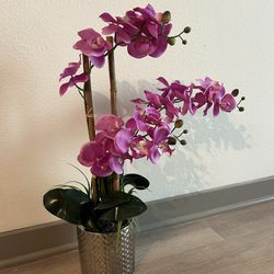 Fake Orchid Plant