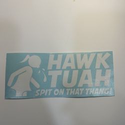 Hawk Tuah Decal