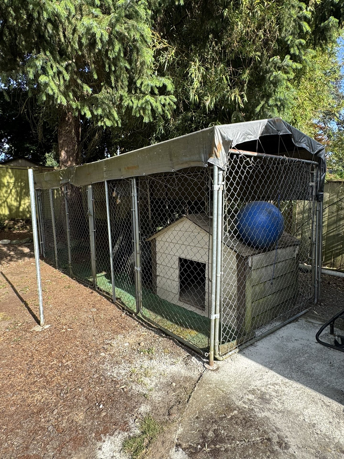 Kennel