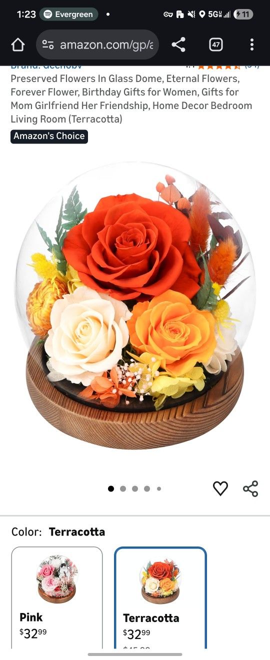 Preserved Flower Globe