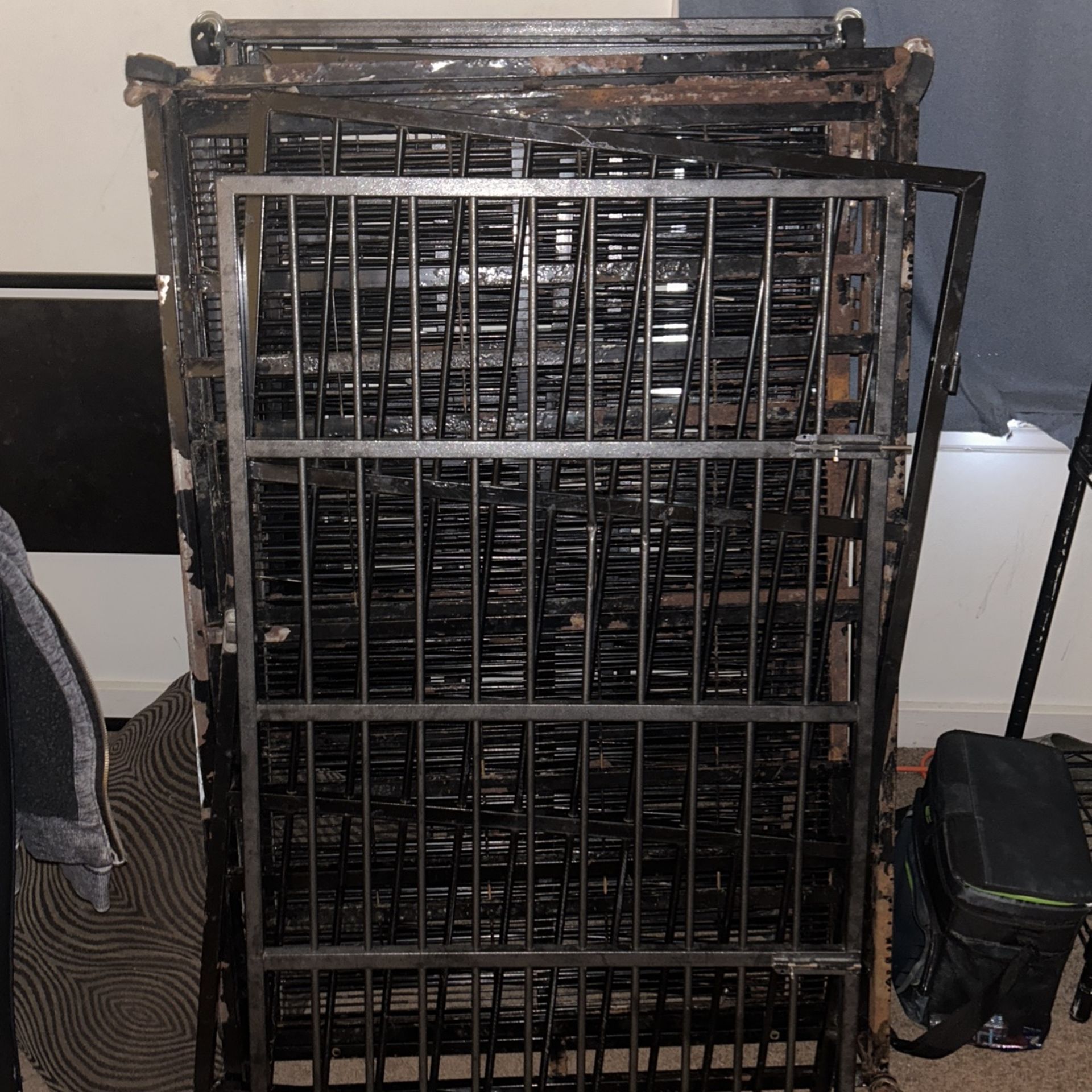 Large Breed Dog Crate