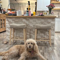 Bar stools