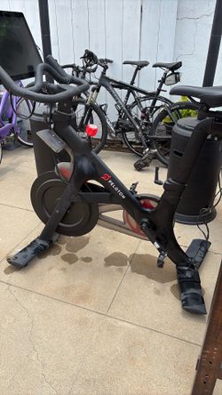 Peloton