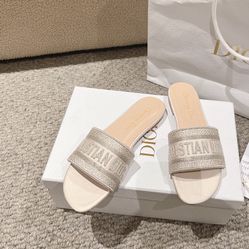 Dior letter webbing design flat cool slippers(off96)