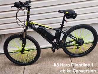 Haro Flightline 1 eBike Conversion 36v 10ah