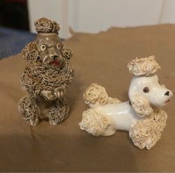 Miniature poodles