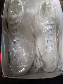 Common projects women size 13