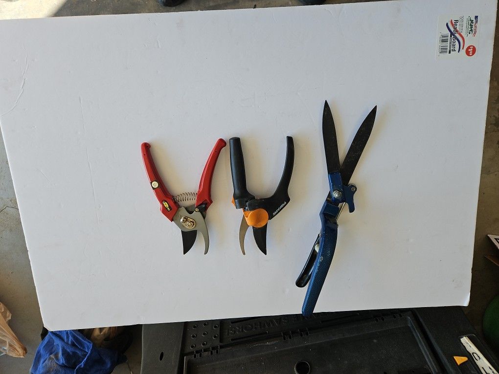 3 - Shears in Chandler 