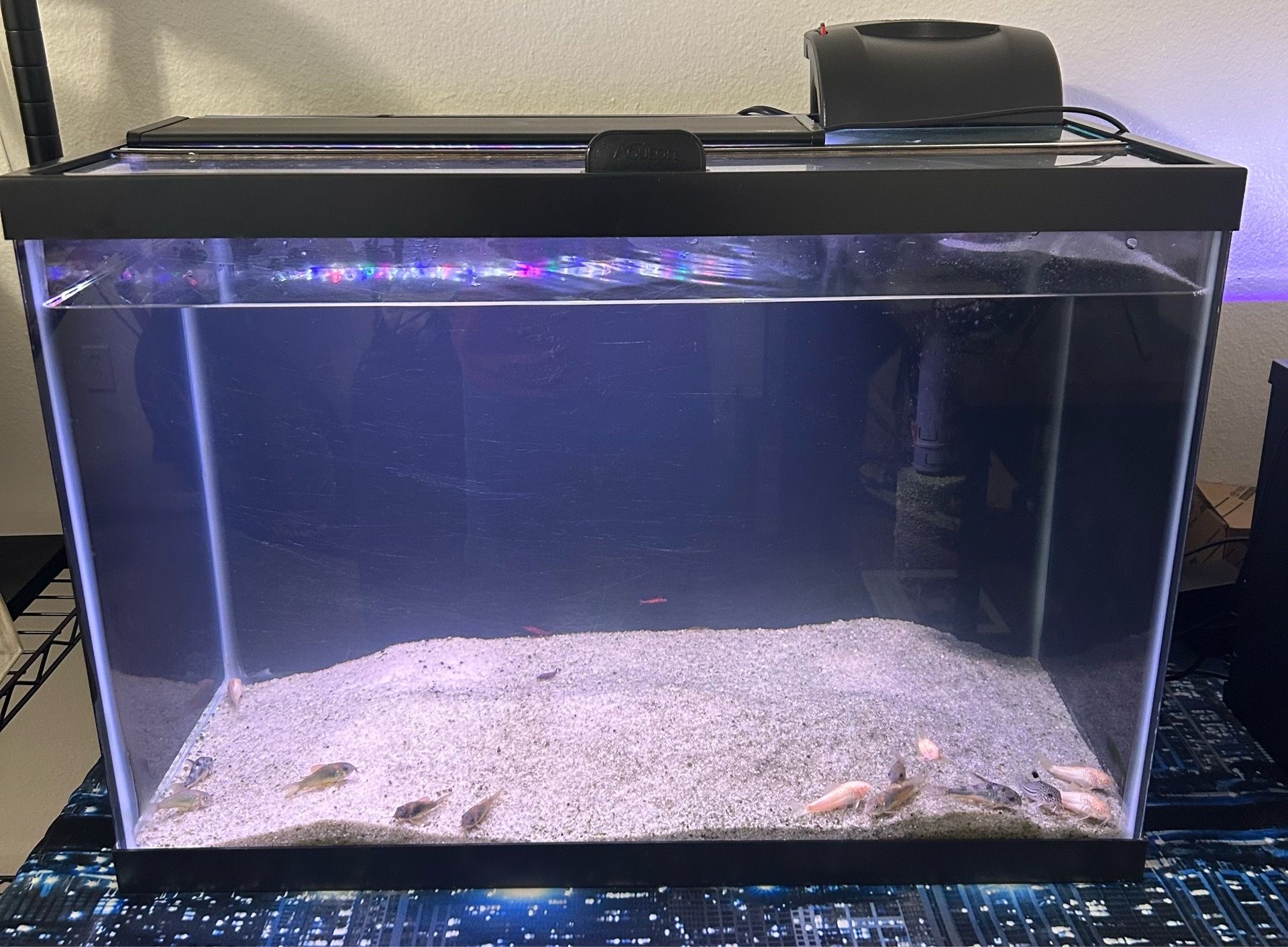 Free 20 Gallon Aquarium Tank with Filter, FISH NOT INCLUDED.