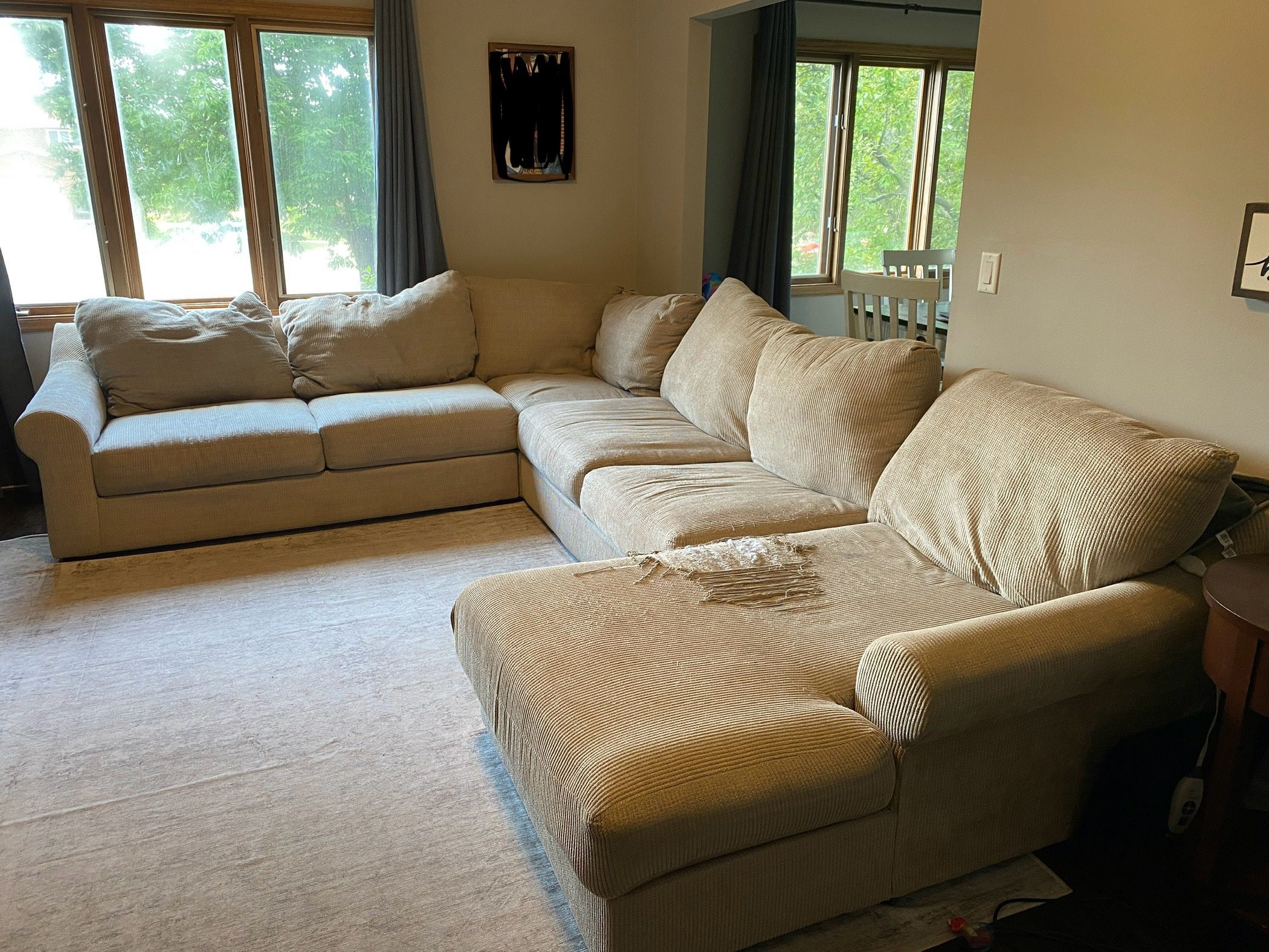 Large Comfortable And Used Couch