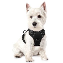 Rabbitgoo Dog Harness No Pull With 2 Leash Clips, Adjustable Soft Padded, Reflective No Choke XS