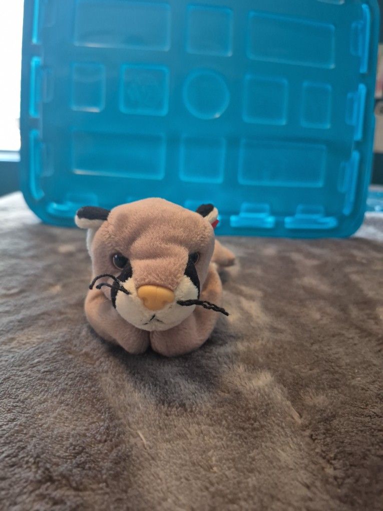 TY Beanie Baby