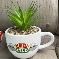 Succulent Planter Friends Central Perk Coffee Mug 2 Sided Planter Faux Plant