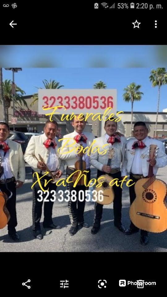 Vihuela Y Mariachi