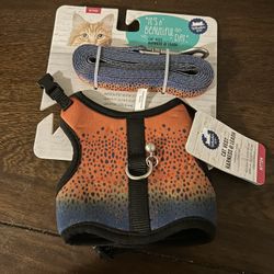 Kitten Vest Harness And Leash 
